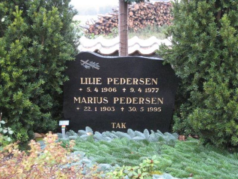 Marius Pedersen.jpg